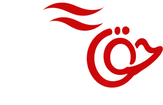 Haq Electronics