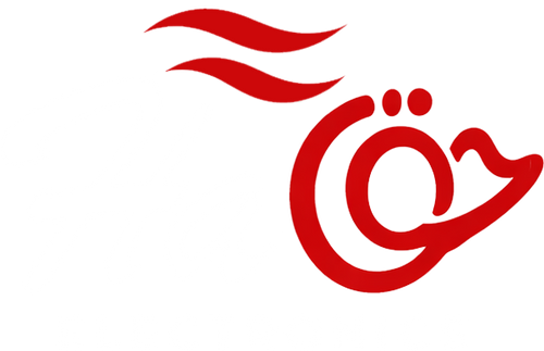 Haq Electronics